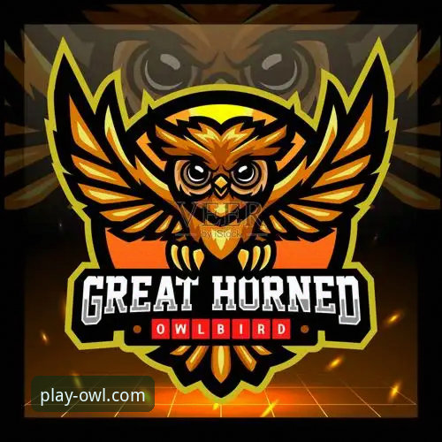 猫头鹰体育App官方下载与深度评测指南